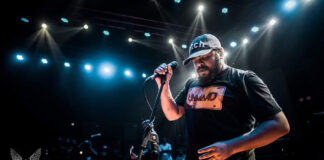 Sufi is back: May be not an Arbovirus gimmick arbovirus sufi